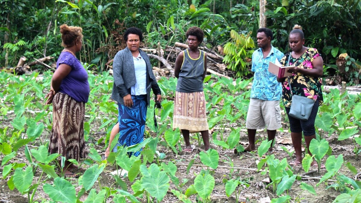 Agriculture team visits Komukama women Taro farmers, Guadalcanal – My SIG Services Portal