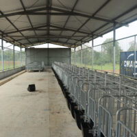 Photo 1 Piggery shelter supported by the SIART Project for the AS Piggery Association in Guadalcanal Province.